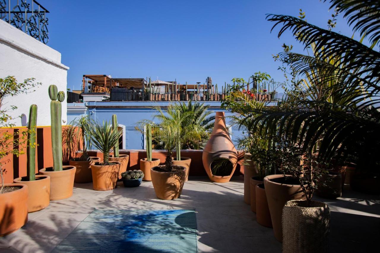 Hotel Los Amantes Oaxaca Exterior photo